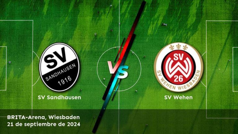 sv-wehen-vs-sv-sandhausen-21-de-septiembre-de-2024