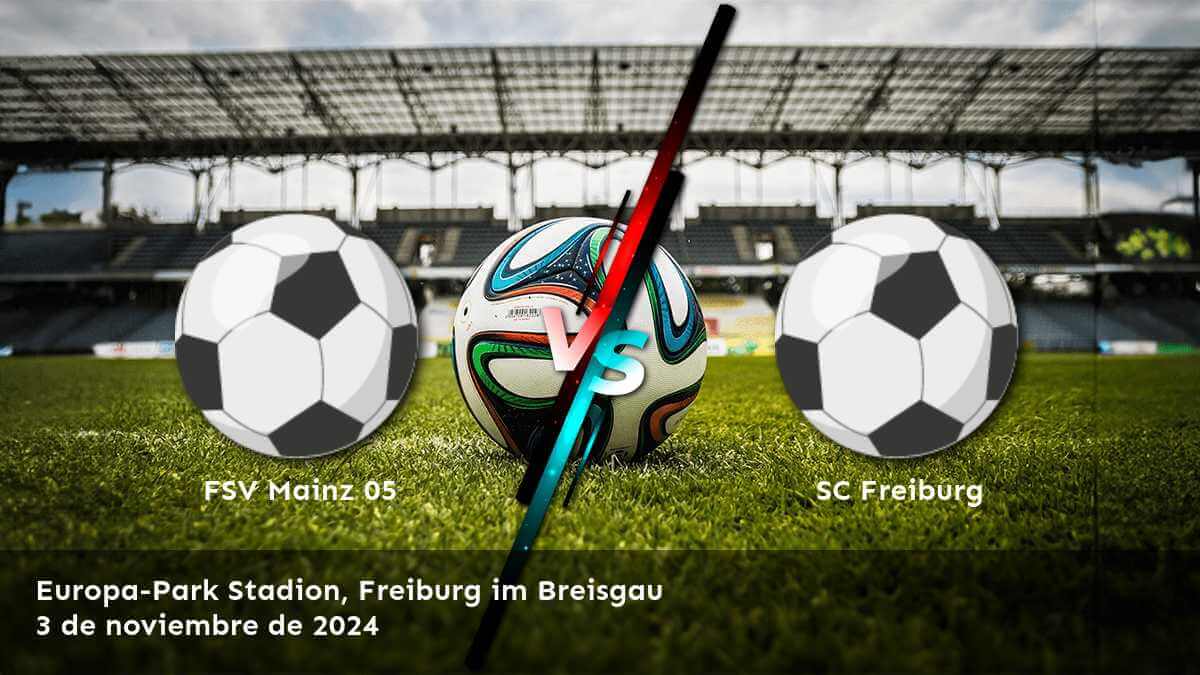 sc-freiburg-vs-fsv-mainz-05-3-de-noviembre-de-2024