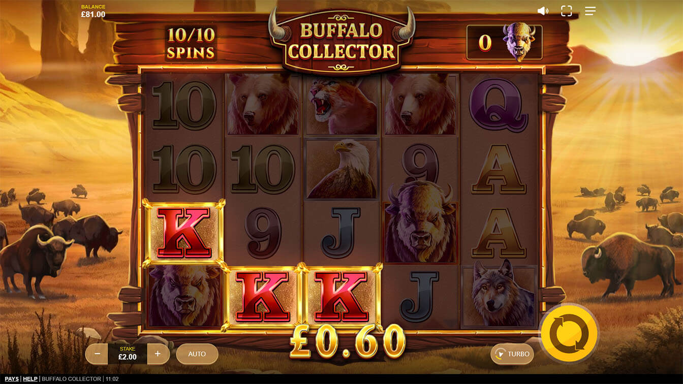 Buffalo Collector por Red Tiger, win screenshot