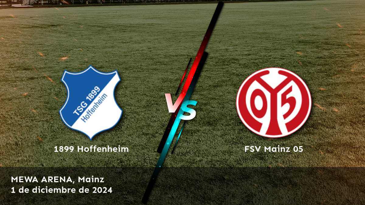 fsv-mainz-05-vs-1899-hoffenheim-1-de-diciembre-de-2024