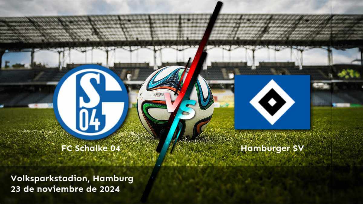 hamburger-sv-vs-fc-schalke-04-23-de-noviembre-de-2024