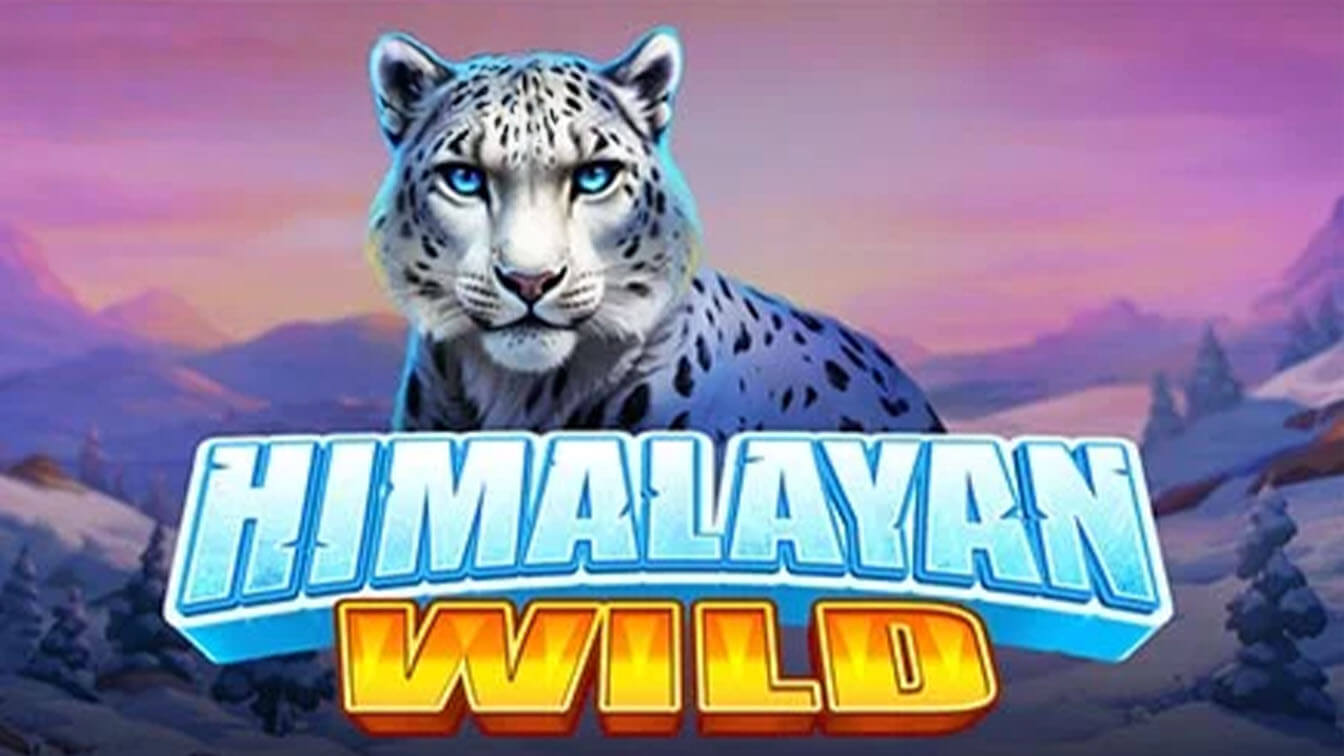 himalayan-wild-por-pragmatic-play