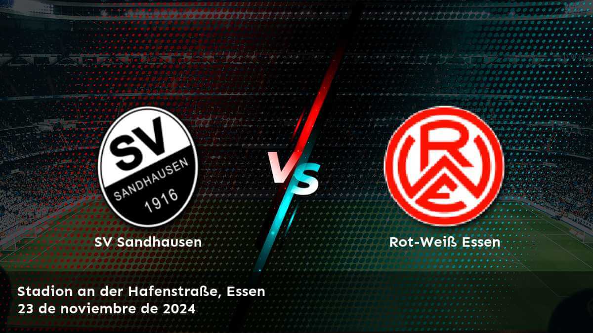 rot-weis-essen-vs-sv-sandhausen-23-de-noviembre-de-2024